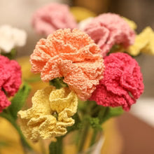 Crochet Carnations