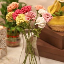 Crochet Carnations