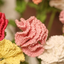 Crochet Carnations