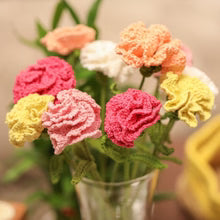 Crochet Carnations