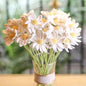 Crochet White Daisy