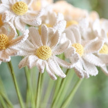 Crochet White Daisy