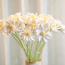 Crochet White Daisy